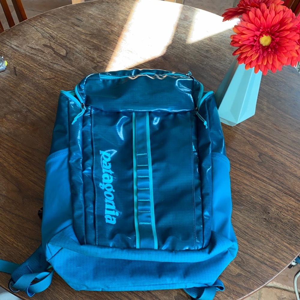 Patagonia Black Hole 25L Backpack